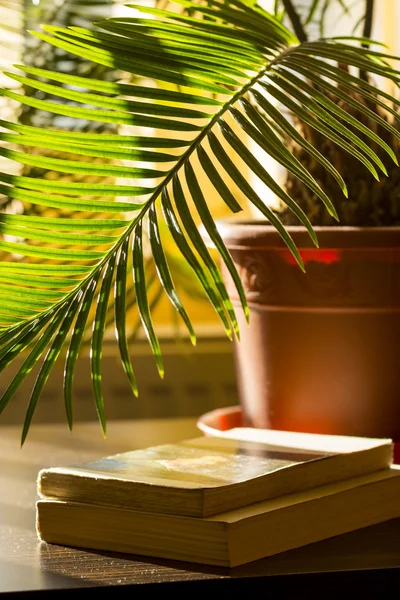 Fern and books. Two books an wooden table and branch of fern.