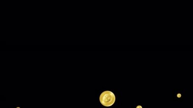 Üç boyutlu para Bitcoin para birimi kara ekran arka planında yüzen animasyon. Kripto para birimi BTC ya da Bitcoin, ABD Doları 'na karşı. Küresel dijital finans işini engelle