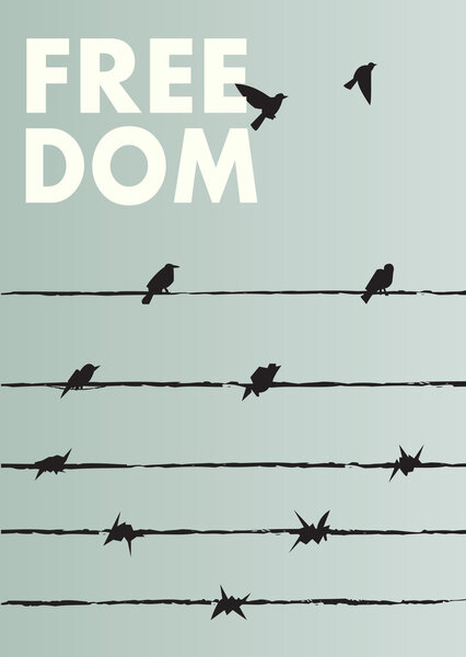 Poster freedom with barbed wire and birds