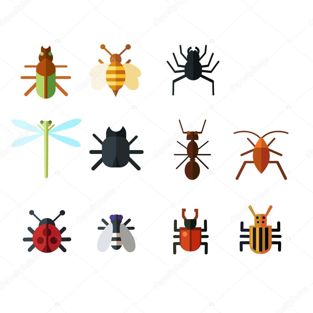 Set of colorful insects