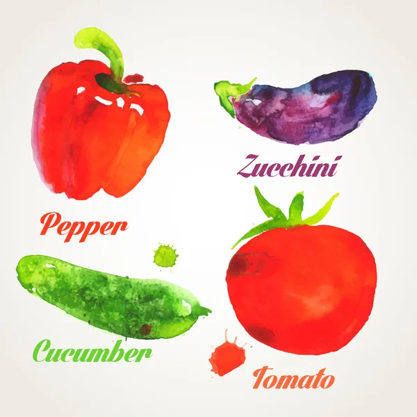 Pepper, eggplant, cucumber, tomato — Stock Vector