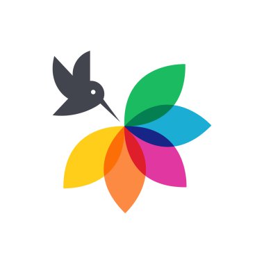 Colibri renkli çiçekli