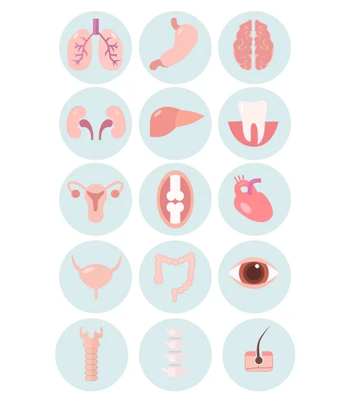 Ícones de órgãos humanos —  Vetores de Stock