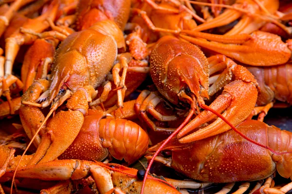 Kırmızı pişmiş kerevit demet