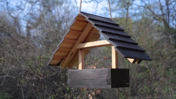 Vogelhäuschen aus Holz hängt an einem Baum — Stockvideo