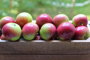 나무 상자에 신선한 빨간 사과