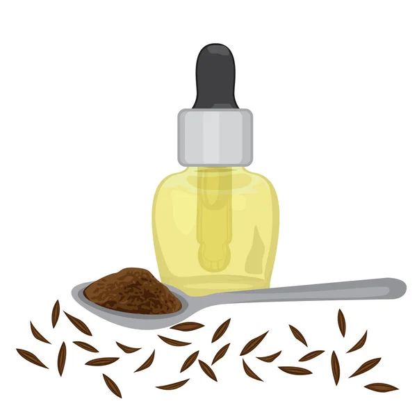 Komijn Zira zaden, poeder in een lepel, en essenciale olie — Stockvector