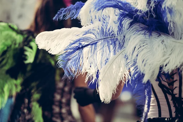 Carnaval Kraliçe karnaval geçit beyaz tüylü, portre