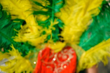 Carnaval geçit katılımcıların renkli tüyleri ile Arkadan Görünüm.