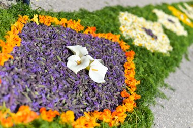 Güzel çiçek dekorasyon arka plan, üstten görünüm düz yatıyordu