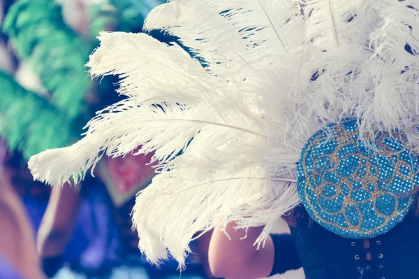 Carnaval Kraliçe karnaval geçit beyaz tüylü, portre — Stok fotoğraf