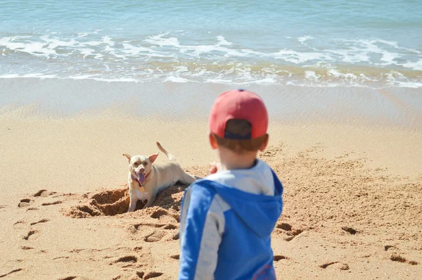 Imagen vista trasera de niño con perro en el fondo de la playa al aire libre — Foto de Stock