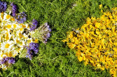Güzel çiçek dekorasyon arka plan, üstten görünüm düz yatıyordu