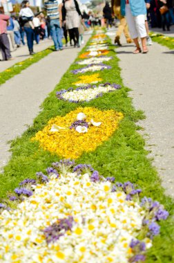 Güzel çiçek dekorasyon arka plan, üstten görünüm düz yatıyordu