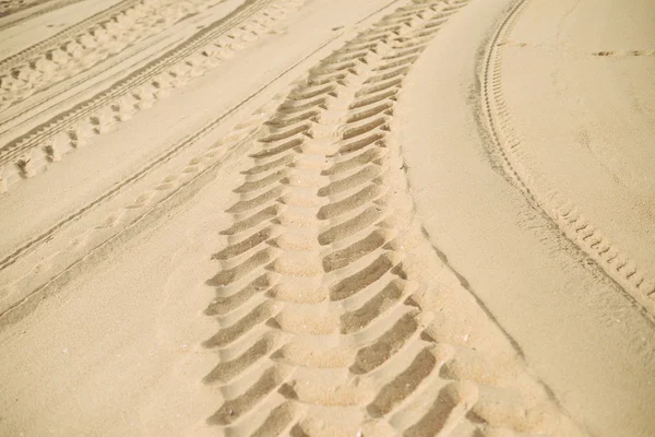 Wielsporen op droog zand achtergrond — Stockfoto