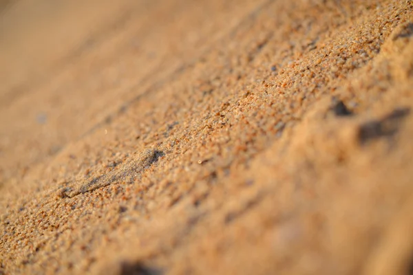 Drought land texture — Stock Photo, Image