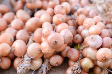 Satılık Çiftlik Market Sacs soğan içeren yığılmış.