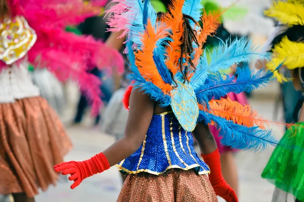 Carnaval geçit katılımcıların renkli tüyleri ile Arkadan Görünüm. — Stok fotoğraf