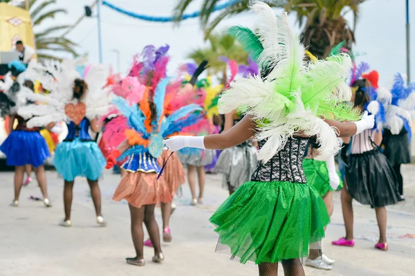 Carnaval geçit katılımcıların renkli tüyleri ile Arkadan Görünüm. — Stok fotoğraf