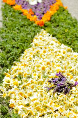 Güzel çiçek dekorasyon arka plan, üstten görünüm düz yatıyordu