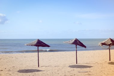 Palmiye ağacı şemsiye, altın kum, masmavi su ile egzotik plaj