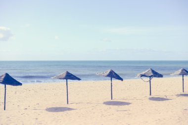 Palmiye ağacı şemsiye, altın kum, masmavi su ile egzotik plaj