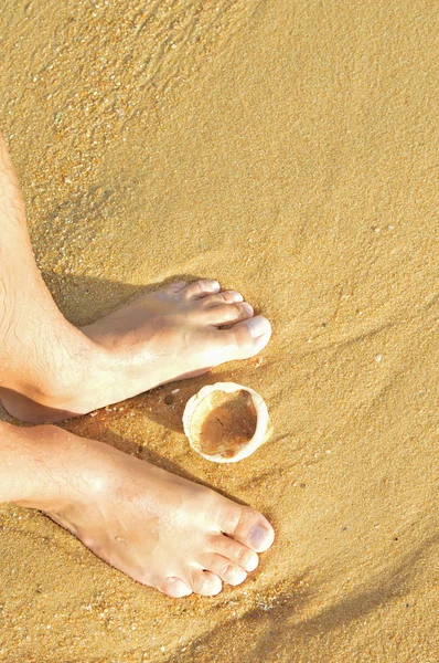 Concha do mar e pessoa caminhando ao longo alegre tropical exótico oceano praia. Topo vista de perto — Fotografia de Stock