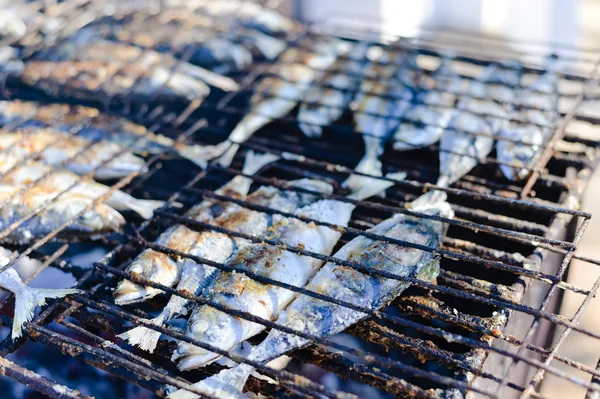 Uskumru Izgara Barbekü, düz yatıyordu, closeup üstten görünüm kızartma.