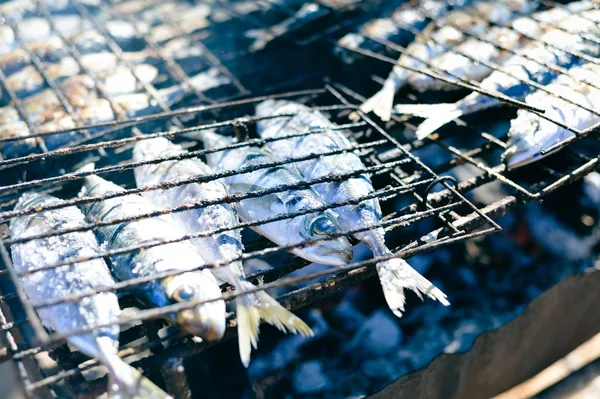 Closeup on fish in a grill — Stock Photo, Image