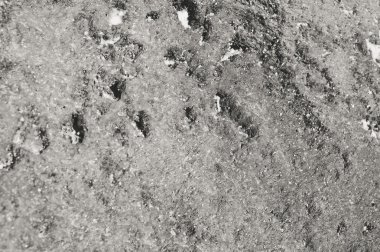 Vahşi doğal tasarım, kaya taş doku yüzeyi