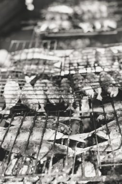 Barbekü, arka plan açık havada balık ızgara üzerinde Üstten Görünüm