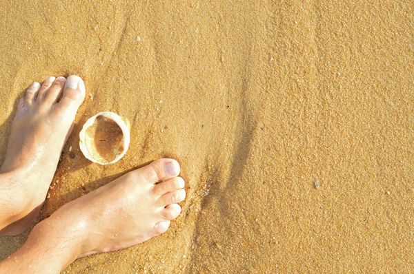 特写镜头上的海壳和脚, 外面的沙滩沙的背景。最受欢迎的风景, 度假的快乐时刻 — 图库照片
