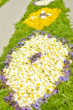 Güzel çiçek dekorasyon arka plan, üstten görünüm düz yatıyordu 