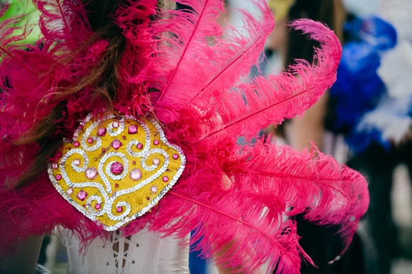 Carnaval geçit katılımcıların renkli tüyleri ile Arkadan Görünüm. — Stok fotoğraf