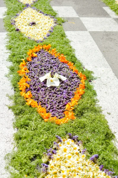 Güzel çiçek dekorasyon arka plan, üstten görünüm düz yatıyordu 