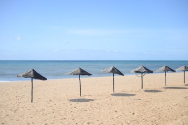 egzotik plaj şemsiyeleri ve sandalyeler tropik sahil