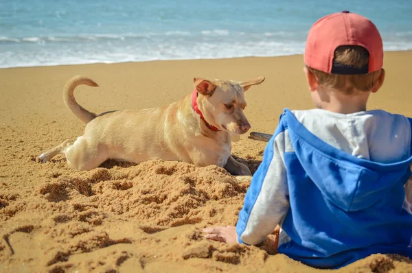 Imagem de menino com cão no fundo da praia ao ar livre — Fotografia de Stock