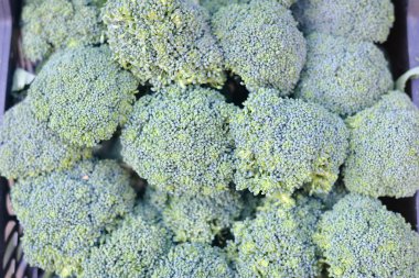 Portre taze yeşil brocolli üstünde belgili tanımlık çarşı içinde yığılmış