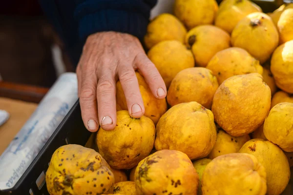 Κοντινό πλάνο σε πρόσωπο που έχει το χέρι στο κυδώνι φρούτα σε μια τοπική αγορά — Φωτογραφία Αρχείου