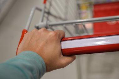 Portre alışveriş sepeti ile elde
