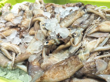 Yerel bir deniz ürünleri pazarında buzda taze Avrupa kalamarları Loligo vulgaris 'in yakın çekimi. Tazelik kavramı, Akdeniz diyeti ve geleneksel balık pazarı gösterisi.