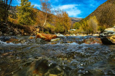 Arka planda sonbahar renklerinde ağaçlar ve dağlarla çevrili kayaların üzerinde kristal berrak su akan bir dağ nehrinin alçak açılı görüntüsü. Doğa, seyahat, açık hava, temiz su ve vahşi doğa ile ilgili konular için idealdir..