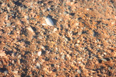 Sıcak güneş ışığıyla aydınlatılan küçük kabuklu ve taşlı doğal kumsal manzarası. Yaz, seyahat, doğa veya deniz kenarı kavramları için ayrıntılı kıyı dokusu ideal.
