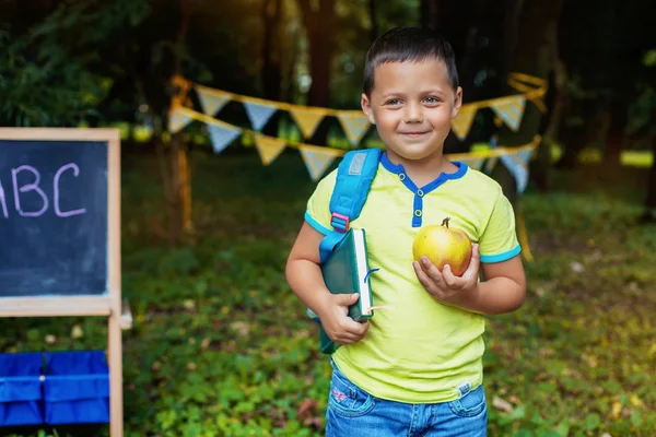 Kleine jongen gaat naar school. Het concept van beroepsopleiding en onderwijs — Stockfoto