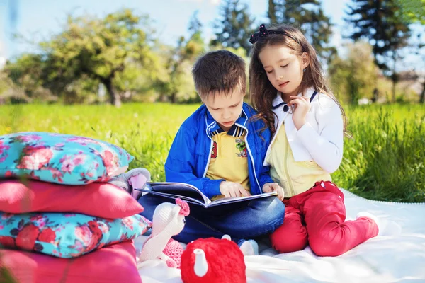 Fratello e sorella leggere un libro su pic-nic — Foto Stock