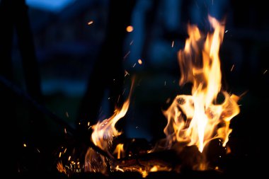 Güzel ateş. Doğa kavramı.