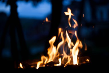 parlak ışık dışında. Doğa kavramı.