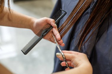 berber uzun saçlı bir kızın saçını kesiyor, saçlarını buduyor, kuaförlük yapıyor.