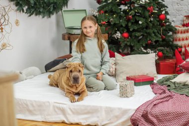 Noel 'de hediye ve ağaçlarla süslenmiş rahat bir odada köpeğinin yanında oturan, lobide gülümseyen kız..