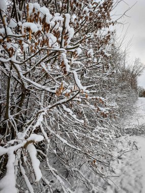 Kışın çekilmiş manzara ve doğa fotoğrafları.